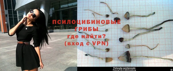 гашишное масло Магас