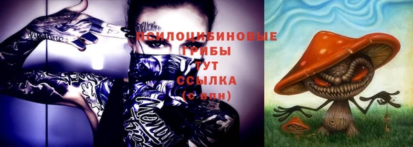 гидропоника Медвежьегорск