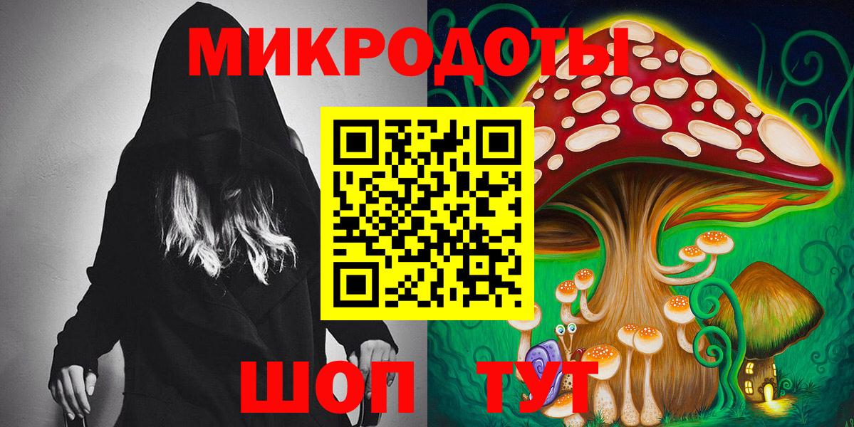 Галлюциногенные грибы Psilocybine cubensis Новоалександровск